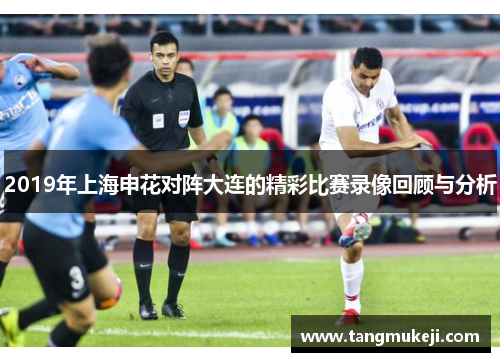 2019年上海申花对阵大连的精彩比赛录像回顾与分析